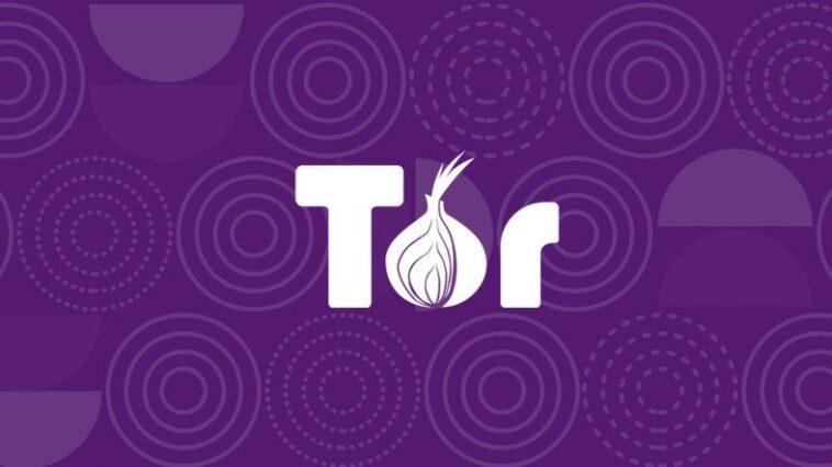 tor browser - tor browser hakkında - tor browser nedir - deepweb - siber güvenlik