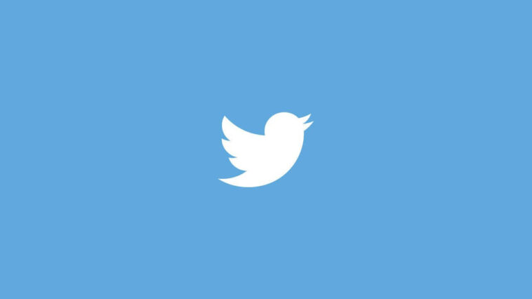 twitter kuşuna yapamayacağınız şeyler - twitter kuşu - twitter kuşunun adı larry bird - twitter kuşunun adı ne