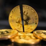 Bitcoin Halving Rally scaled min 2 1