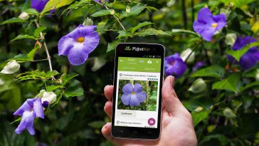 PlantNet