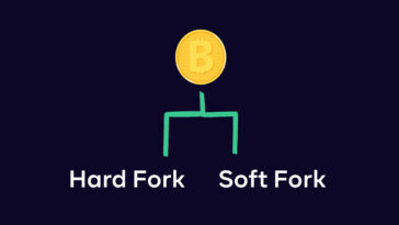 hard fork ve soft fork nedir 2