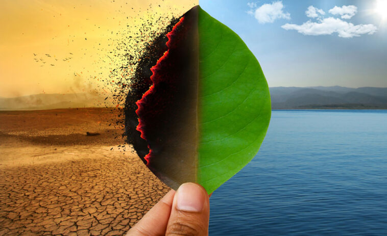 İklim değişikliğinin 6 korkunç gerçeği